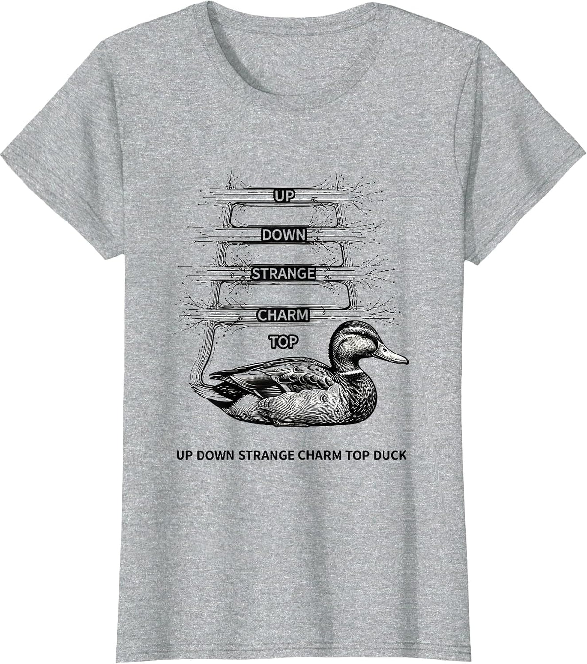 Up Down Strange Charm Top Duck Funny Physics Math Nerd Gift T-Shirt - Heather Grey