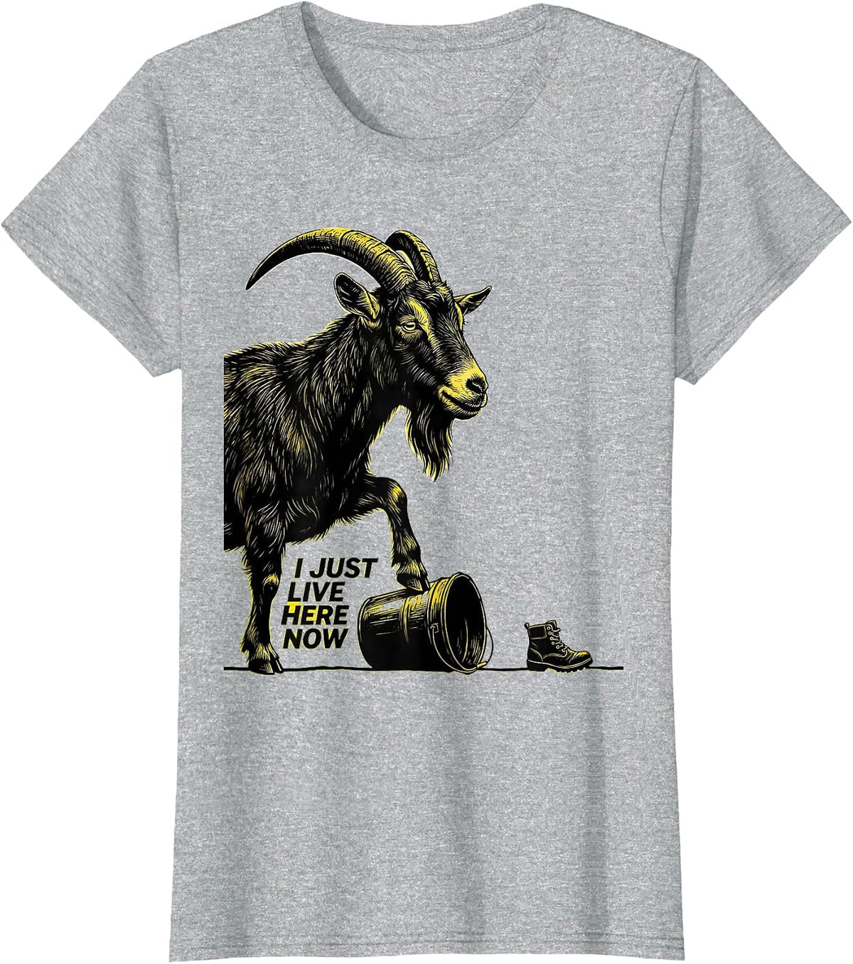 I Just Live Here Now Funny Goat Lover Farmer Gift T-Shirt - Heather Grey