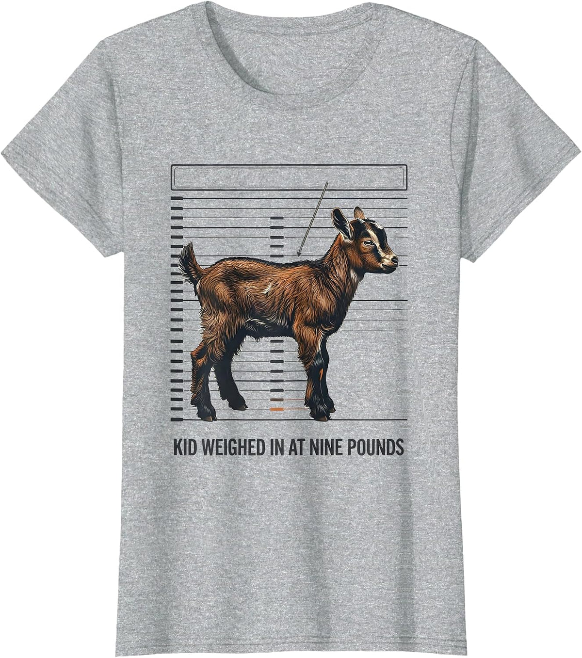 Kid Weighed In At Nine Pounds Funny Goat Lover Farmer Humor T-Shirt - Heather Grey