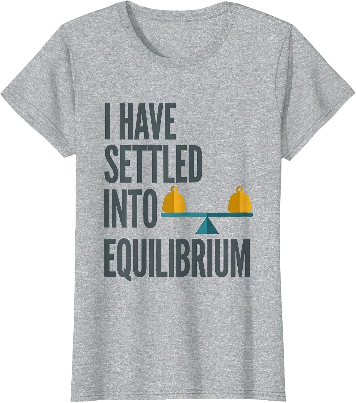 I Have Settled Into Equilibrium Funny Physics Pun Humor T-Shirt - Heather Grey