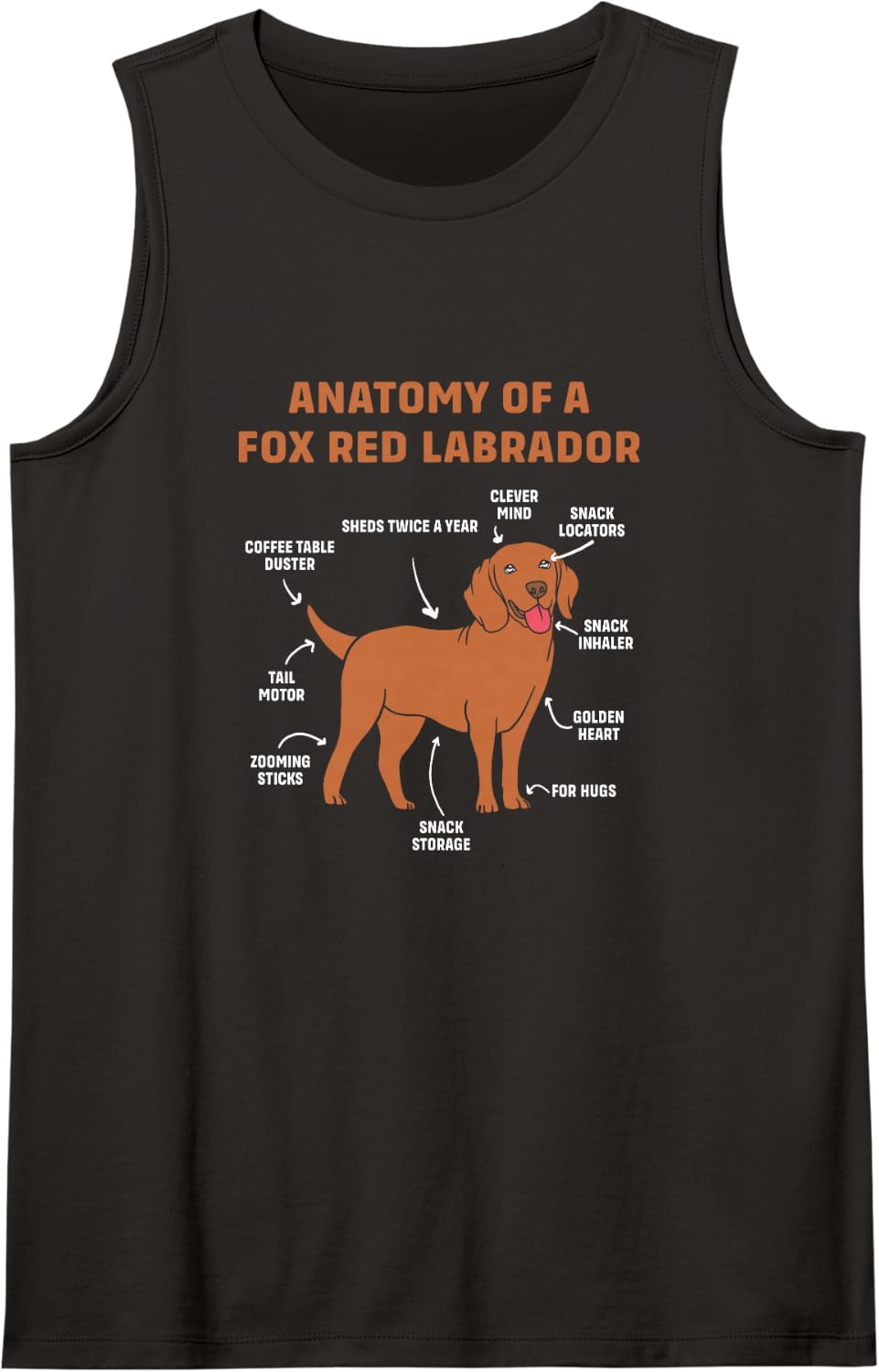 Funny Fox Red Lab Dog Lover Anatomy of Fox Red Labrador Sleeveless Tank Top - Black