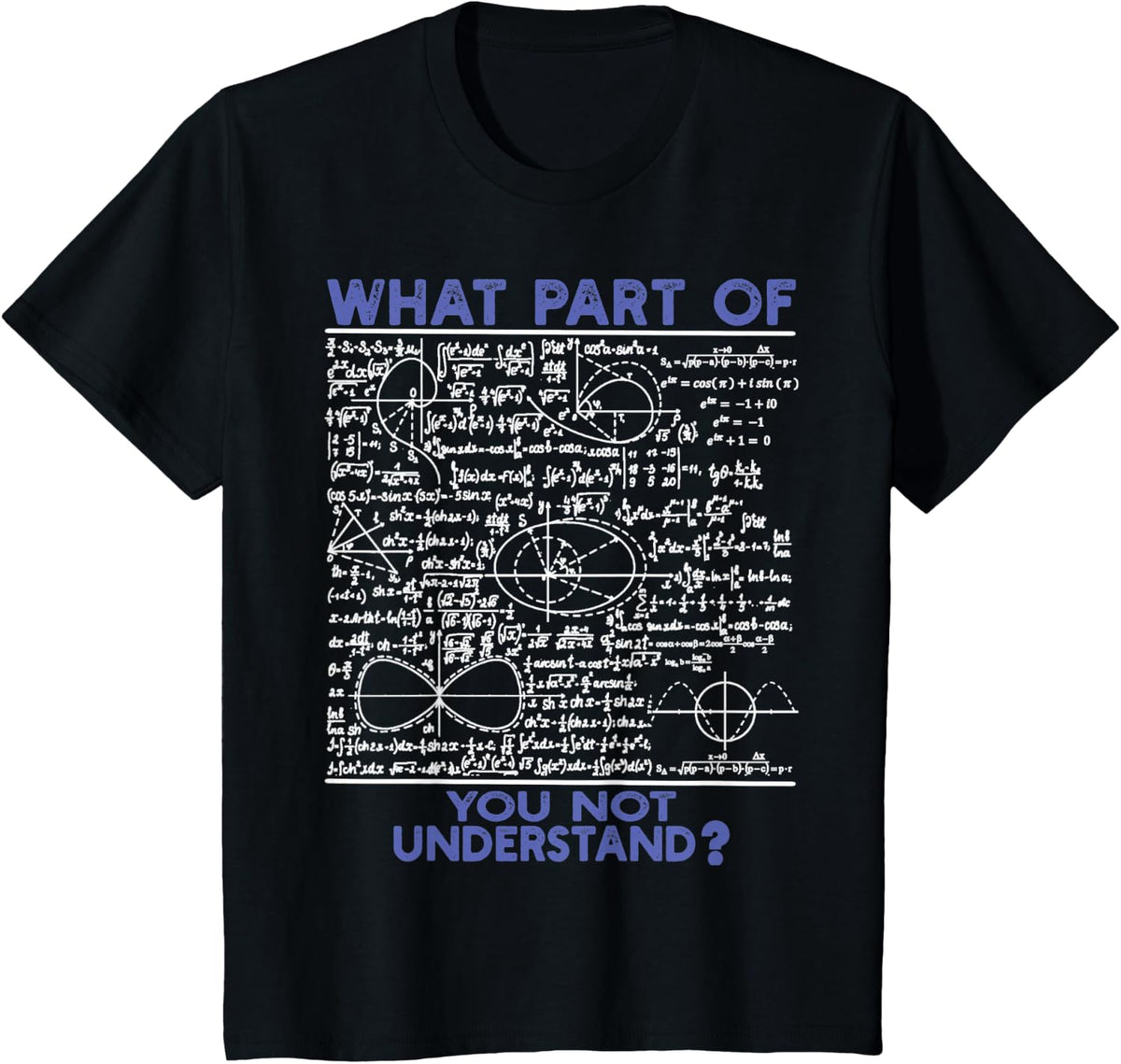 What Part Of You Not Understand Funny Math Physics Professor T-Shirt - Black
