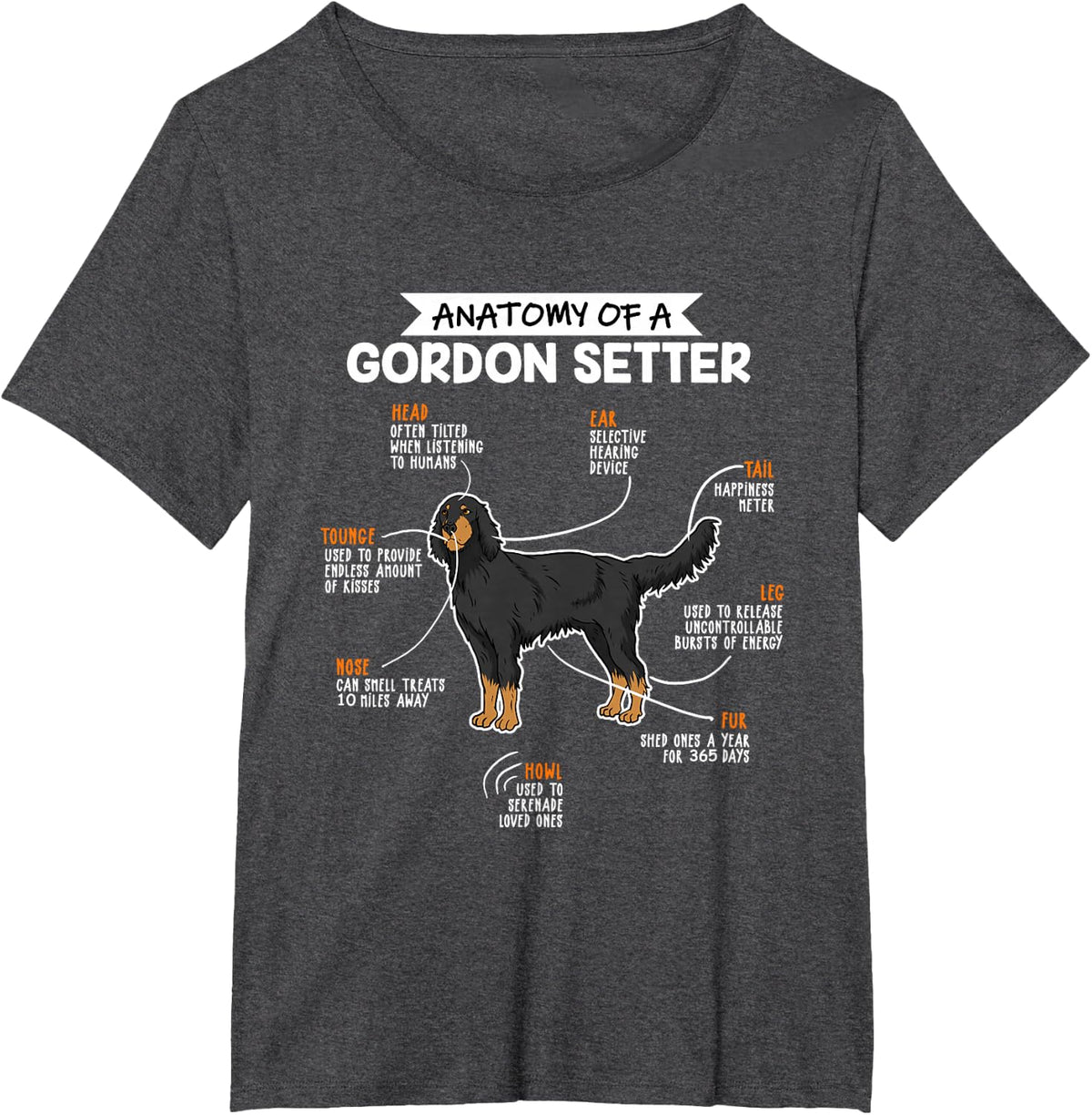 Anatomy of a Gordon Setter Fun Dog Master's Lady T-Shirt - Dark Heather Grey