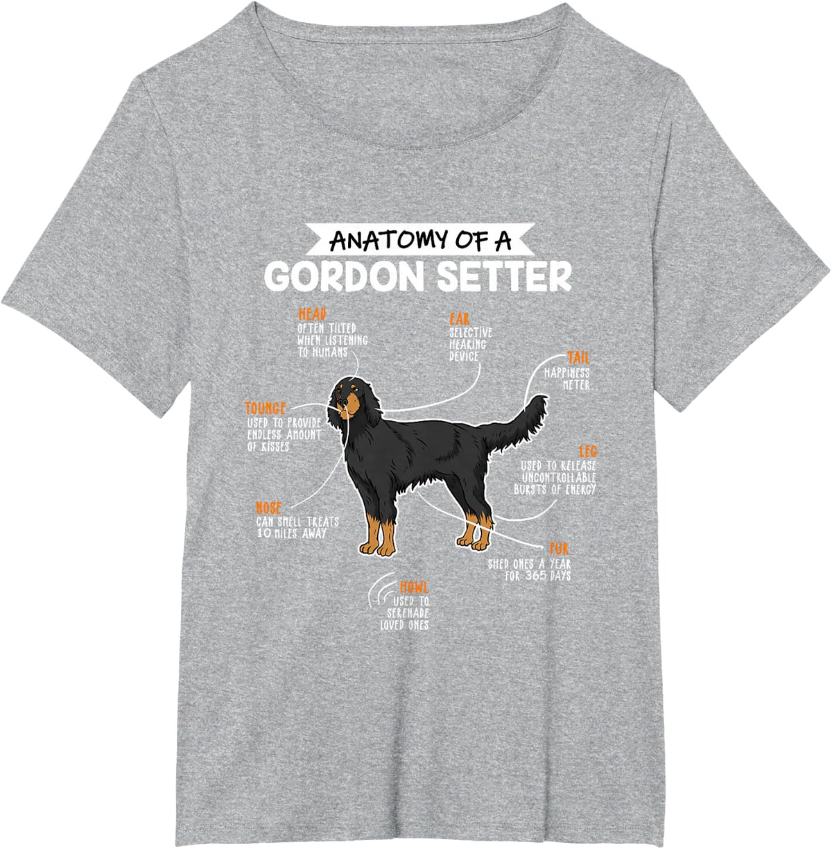 Anatomy of a Gordon Setter Fun Dog Master's Lady T-Shirt - Heather Grey